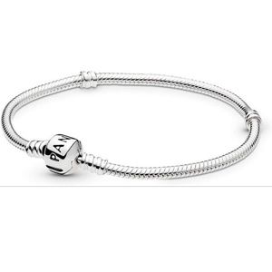 NWOT Pandora silver charm bracelet